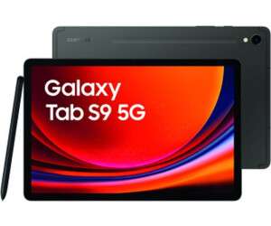 Samsung Galaxy Tab S9 256GB 5G grau verkaufen