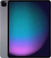 iPad Pro (2021) (12.9) (WiFi + Cellular)