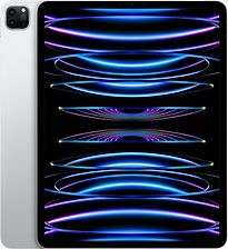 iPad Pro (2022) (12.9) (WiFi + Cellular)